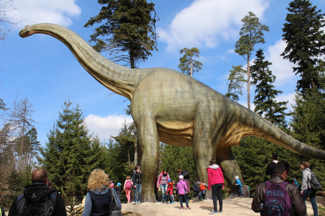 Dinosaurier Museum Bayern