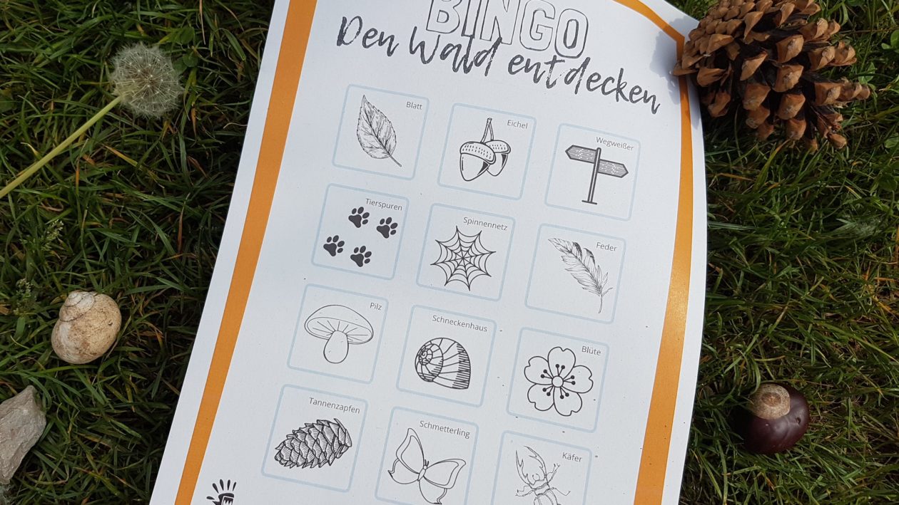 Vorlage Kinder Wald Bingo