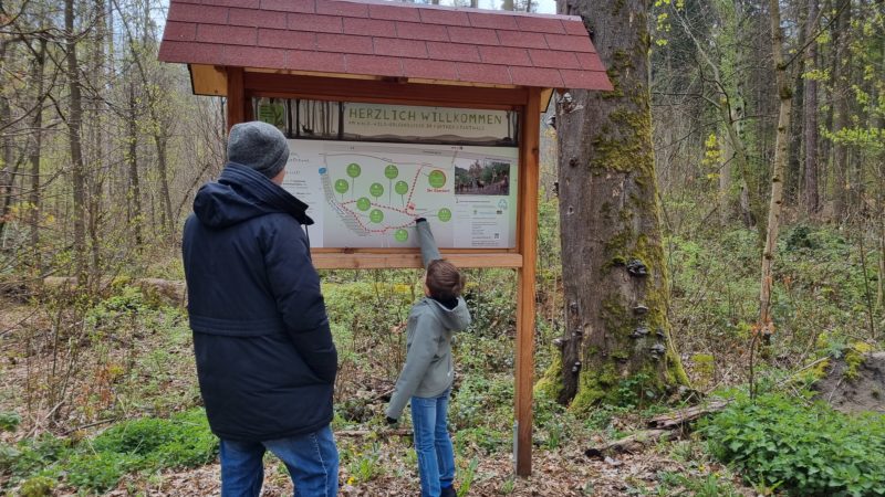 Wald Wild Erlebnispfad