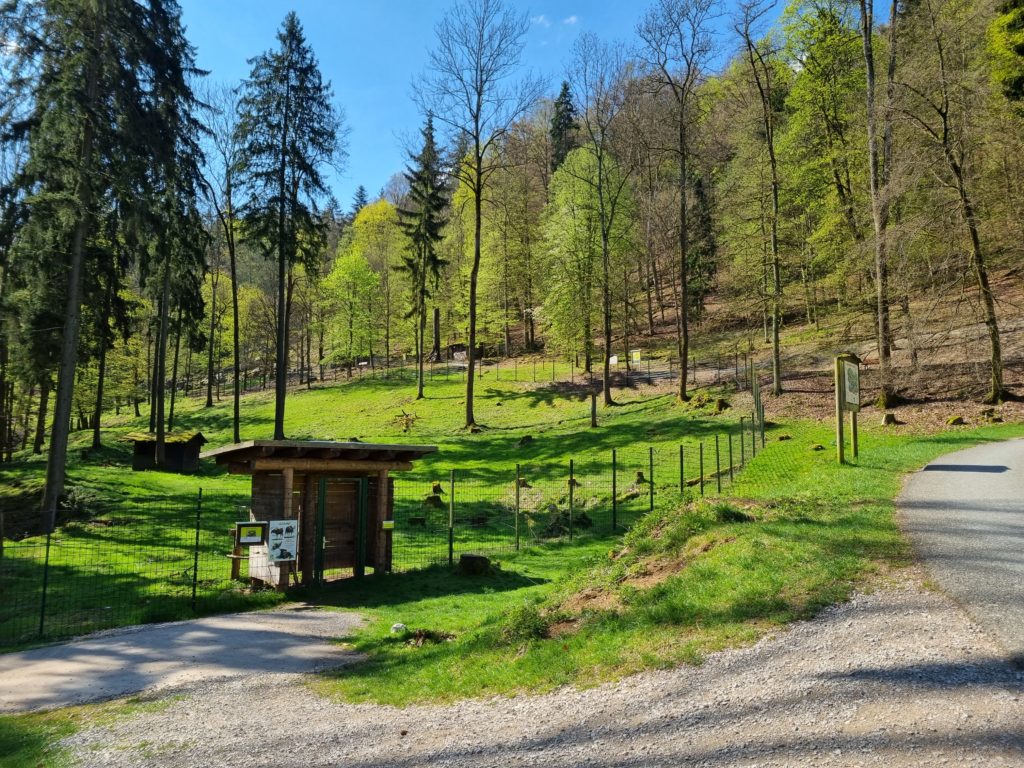 Wildpark Hundshaupten