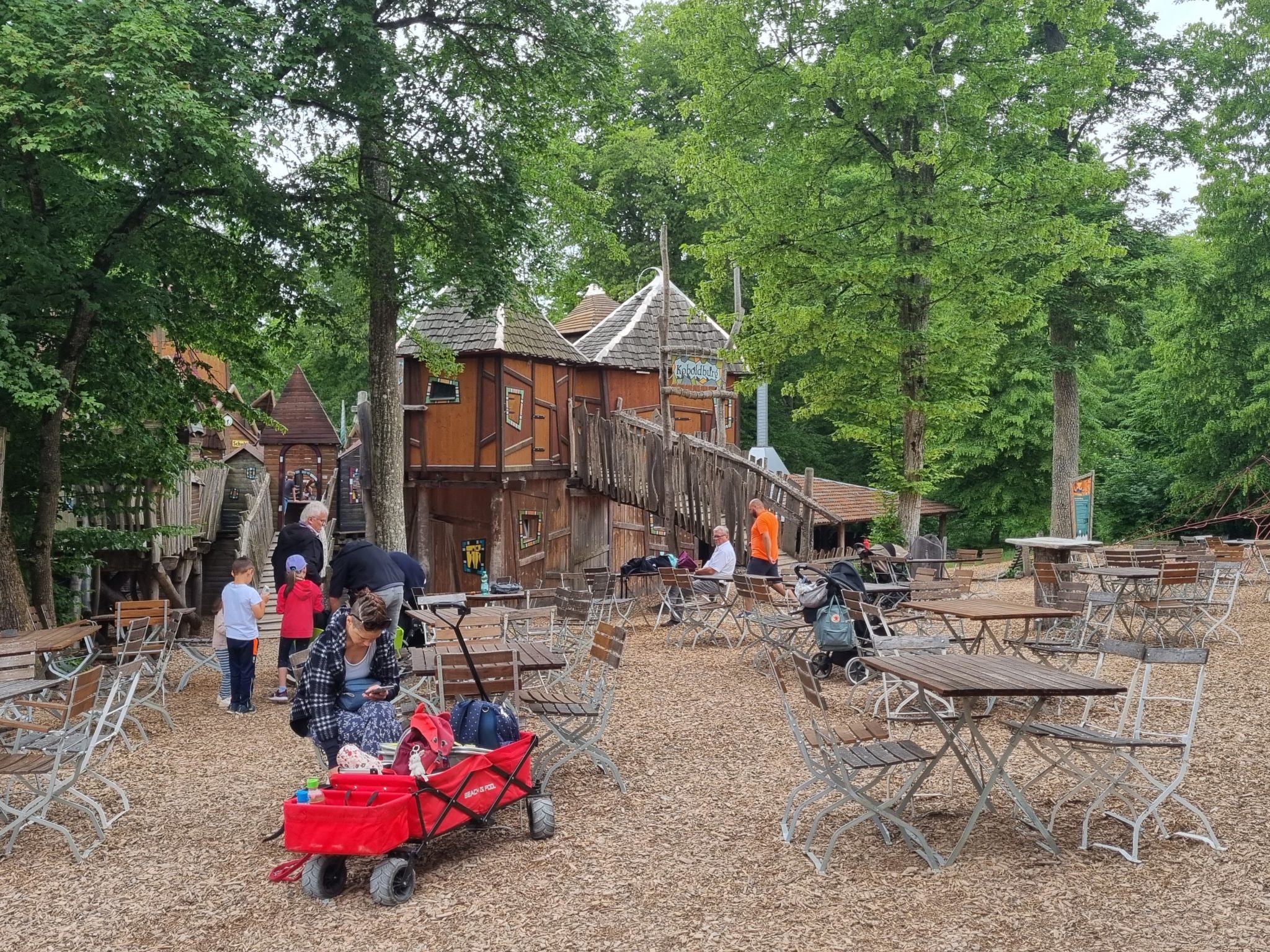 Wolfsfütterung im Wildpark Bad Mergentheim Kinderorte Franken