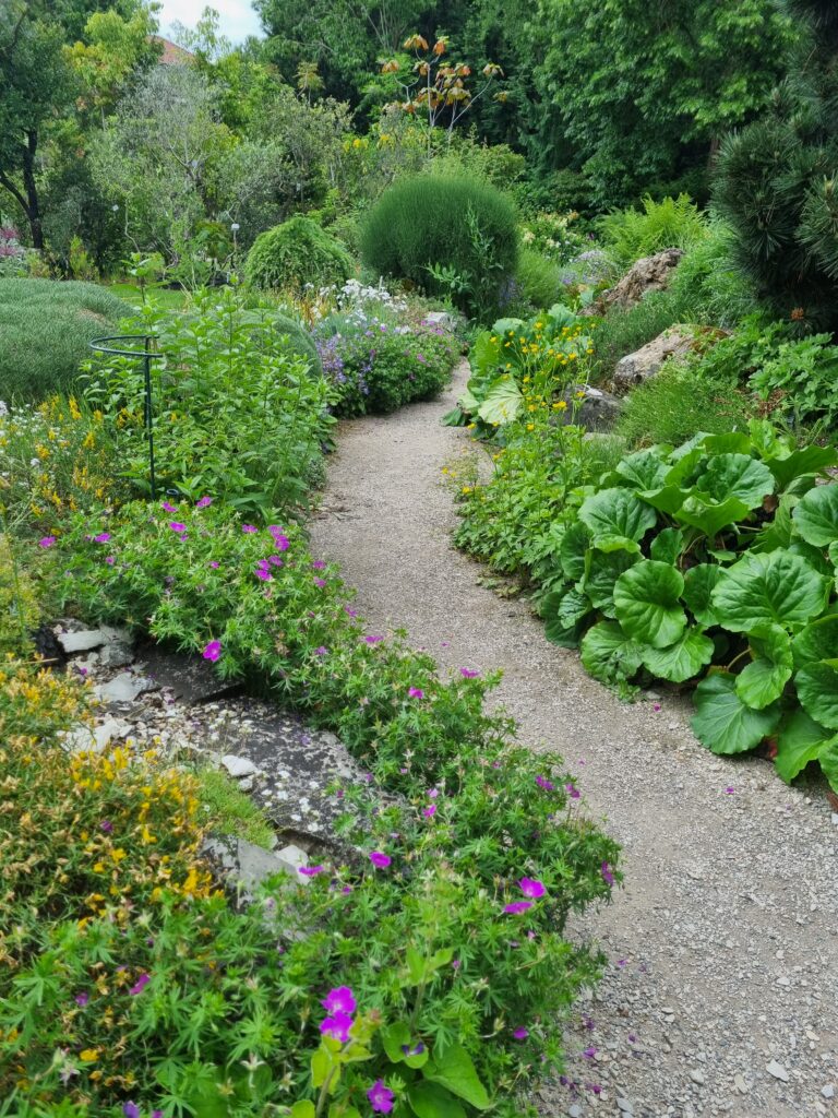 Botanischer Garten Erlangen