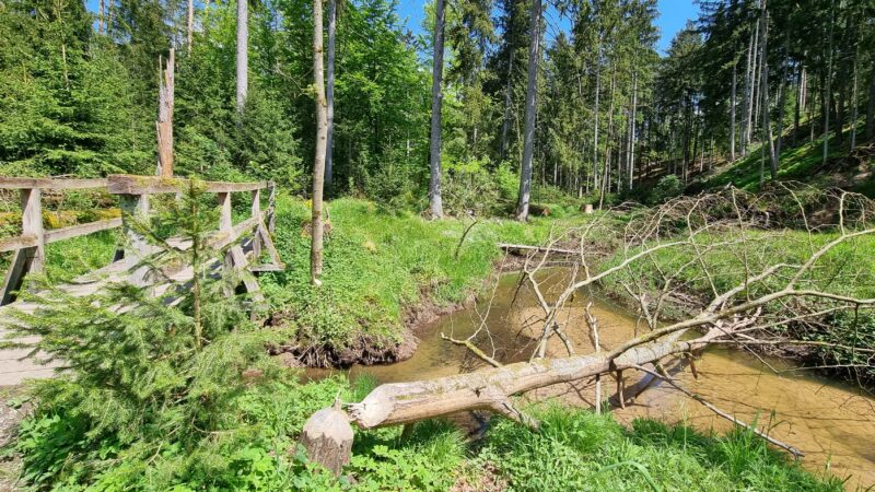 Röthenbachklamm Nürnberger Land