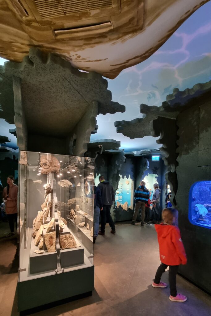 Mammut Museum