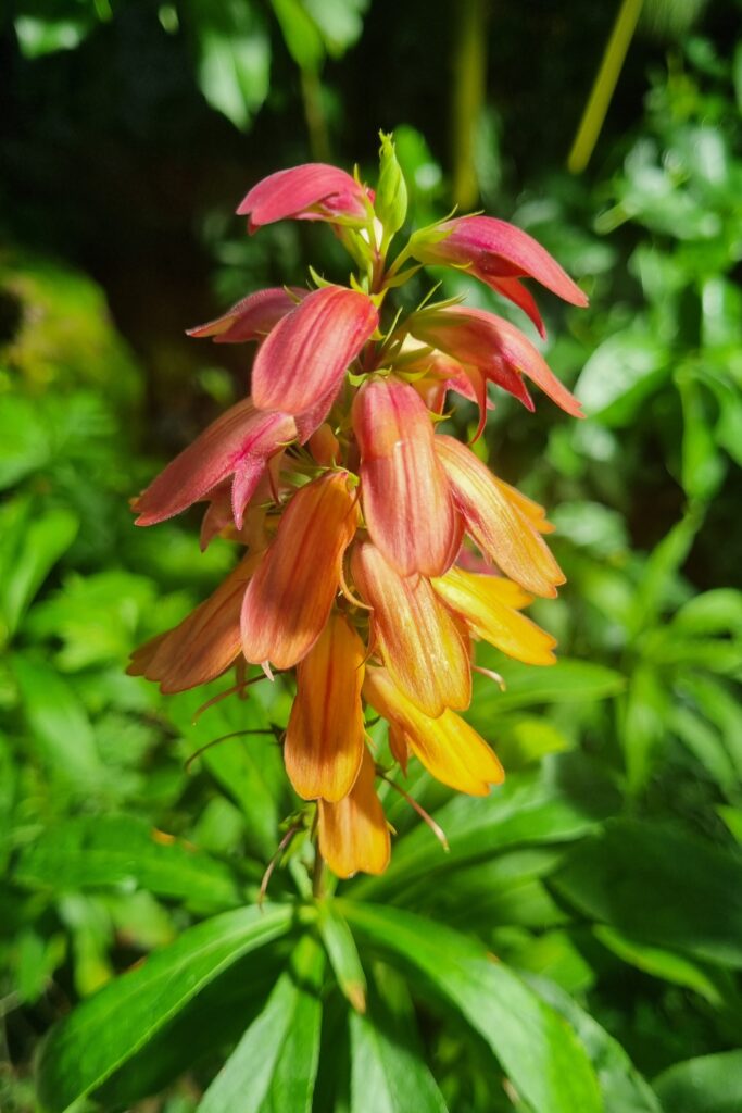 Botanischer Garten Bayreuth