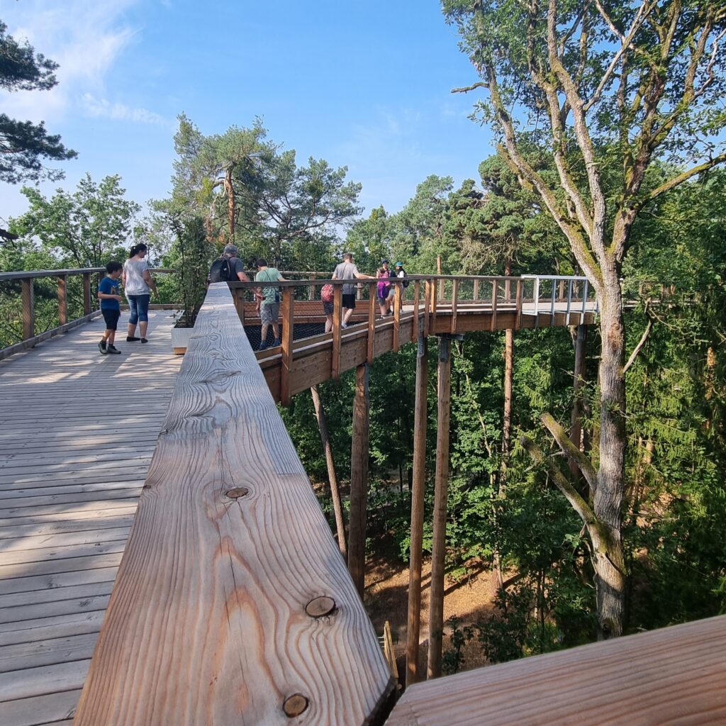 Klimawaldpfad Tiergarten Nürnberg