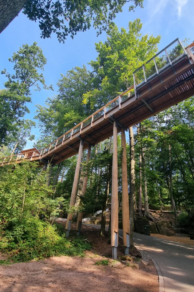 Klimawaldpfad Tiergarten Nürnberg