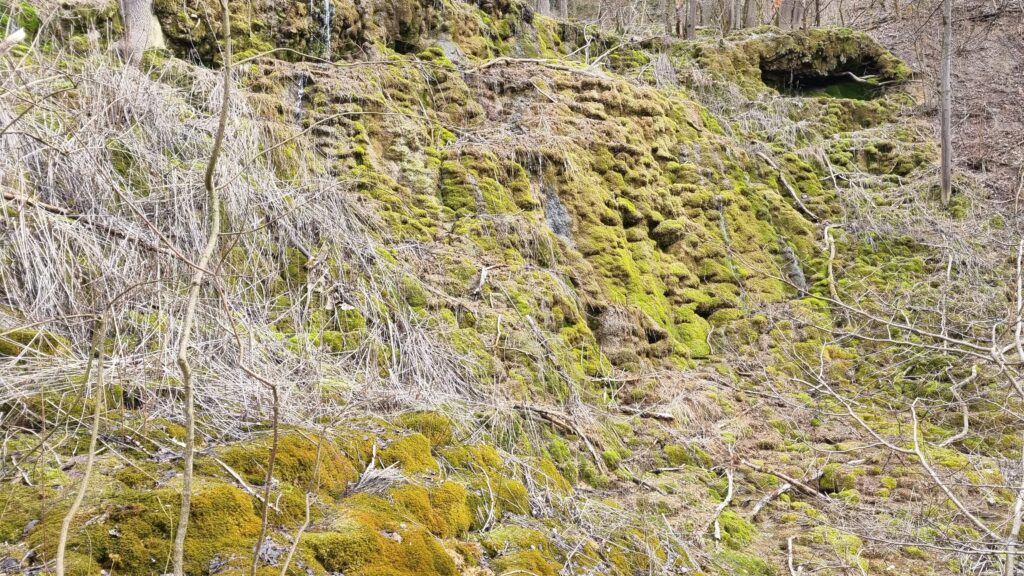 Buttenheim Sinterstufen