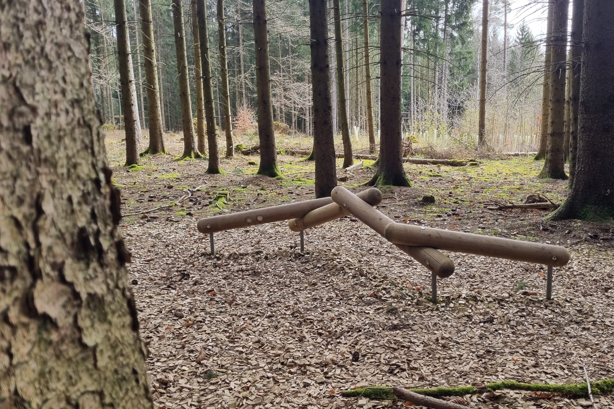 Walderlebnispfad Birgland