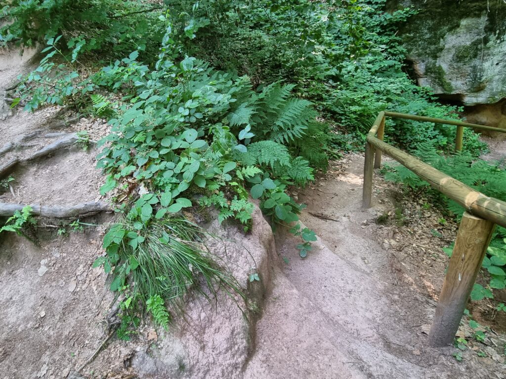 Schnittlinger Loch