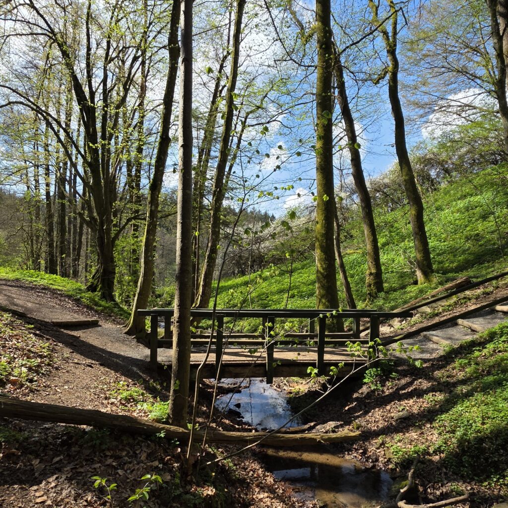 Löwengrube Altdorf