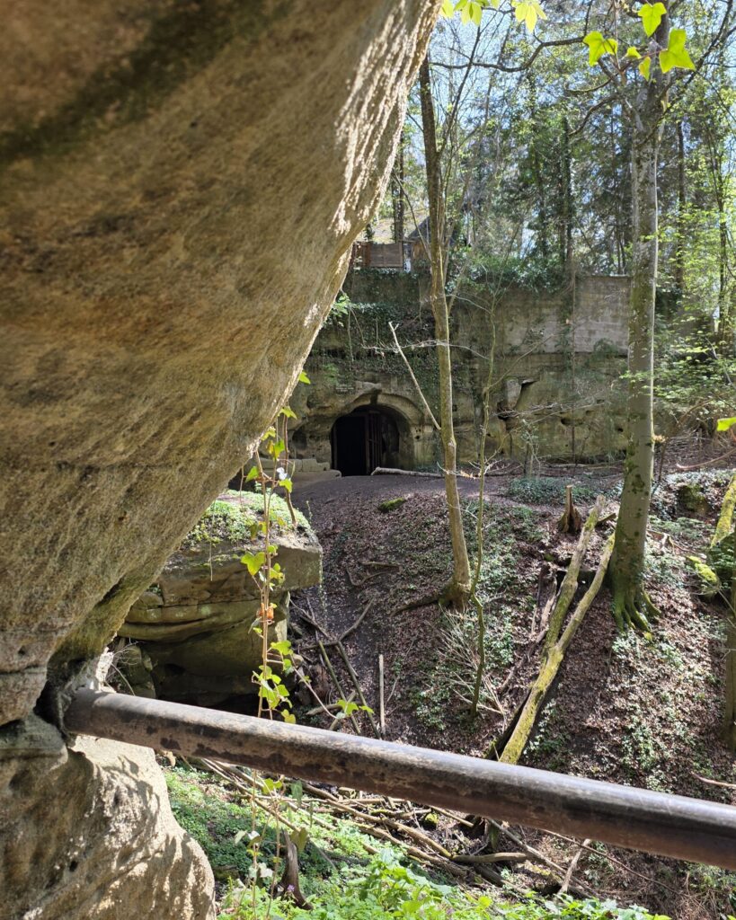 Löwengrube Altdorf