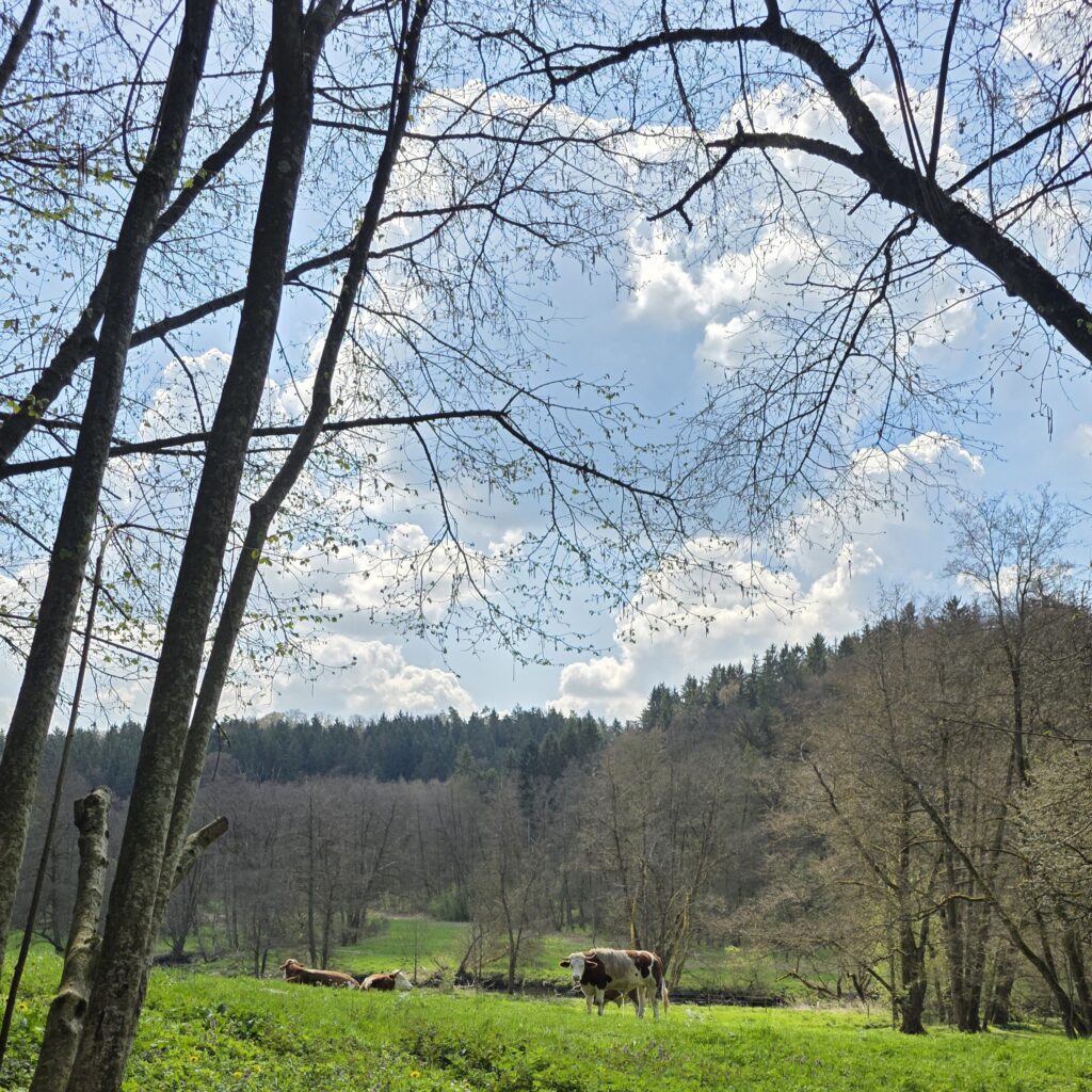Altdorf Löwengrube