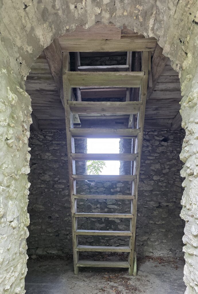 Aussichtsturm Wallerwarte