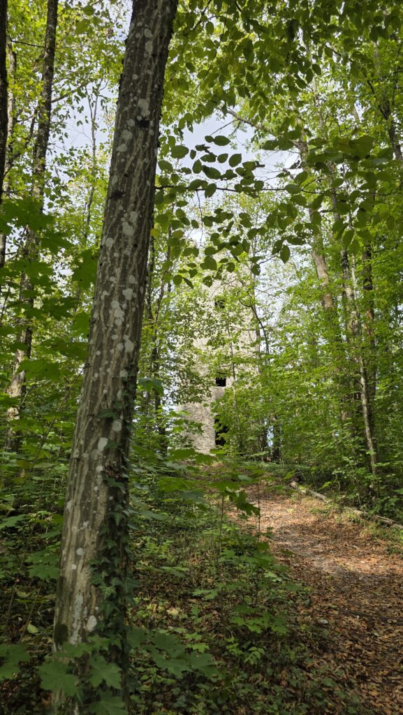 Aussichtsturm Wallerwarte
