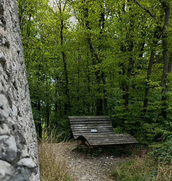 Aussichtsturm Wallerwarte