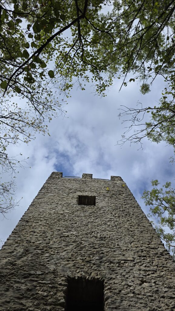 Aussichtsturm Wallerwarte