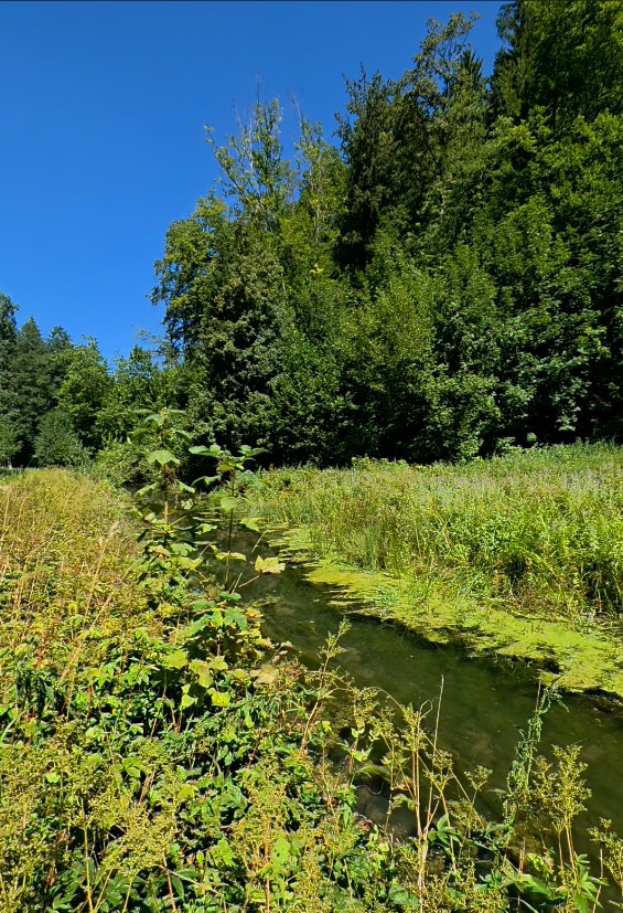 Klumpertal