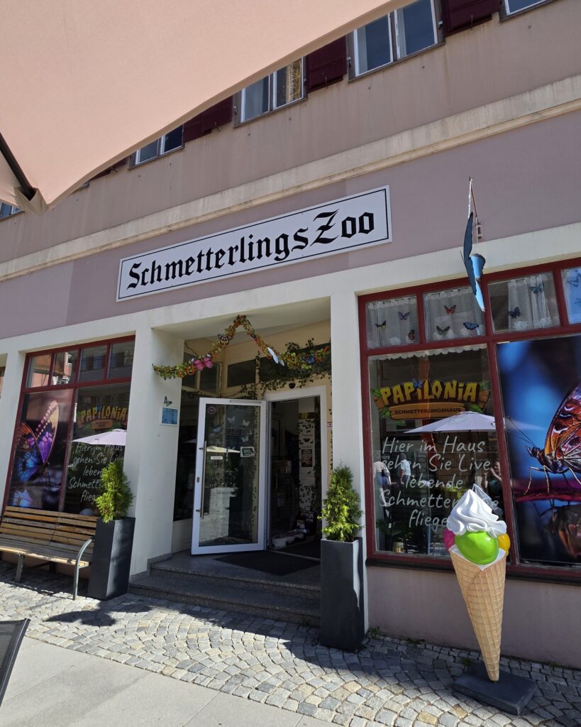 Schmetterlingshaus Papilonia Dinkelsbühl